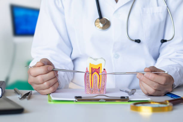 Best Emergency Dental Care for Trauma or Injury in Martins Additions, MD